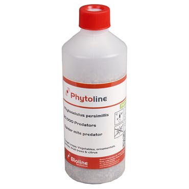 Phytoline - 20,000 per 500ml Bottle - Biological Control